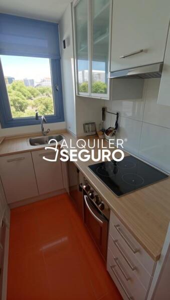 Piso en Paseo de la Dirección, MADRID MADRID