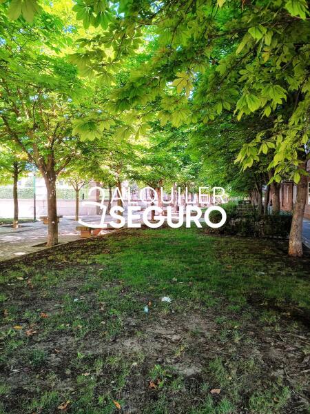 Piso en Paseo de los Castaños, VALLADOLID VALLADOLID
