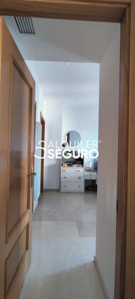 Piso en Avenida Médico Ricardo Ferre, ALICANTE ALICANTE