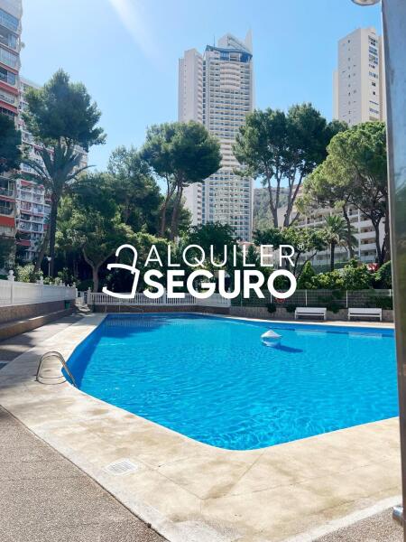 Piso en Avenida de París, BENIDORM ALICANTE Piso en Avenida de París, BENIDORM ALICANTE