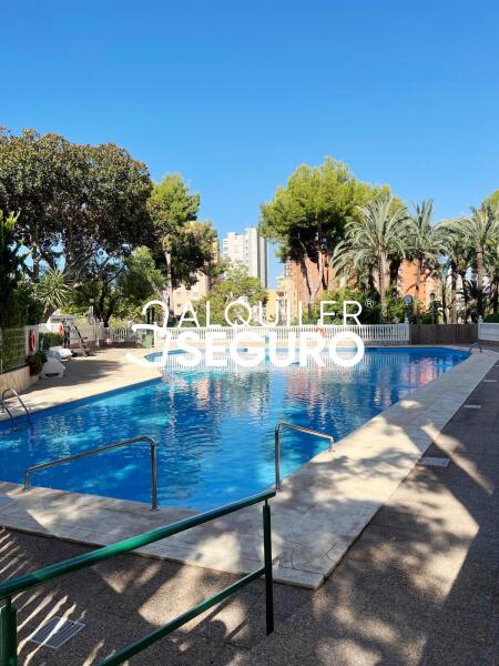 Piso en Avenida de París, BENIDORM ALICANTE