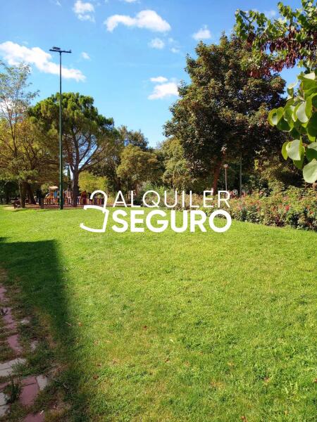 Piso en Paseo Jardín Botánico, VALLADOLID VALLADOLID